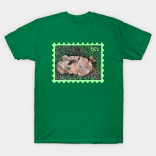 Giant Mushrooms Postal Stamp T-Shirt